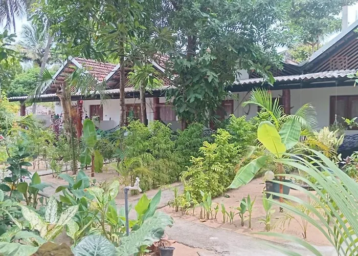 Bay Dreams Beach Hotel & Surf Camp